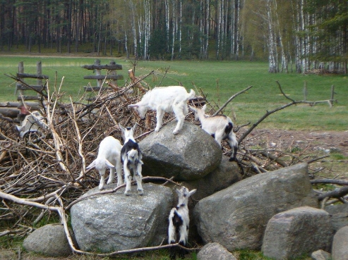 Wycieczki Ch