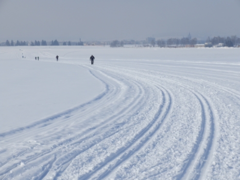 Lotnisko - Nowy Targ - trasa biegowa