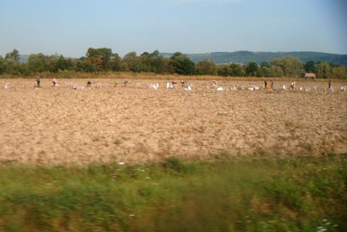 Praca zespołowa