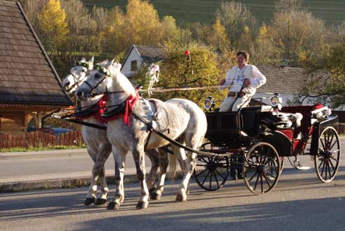 Zaprzęg weselny